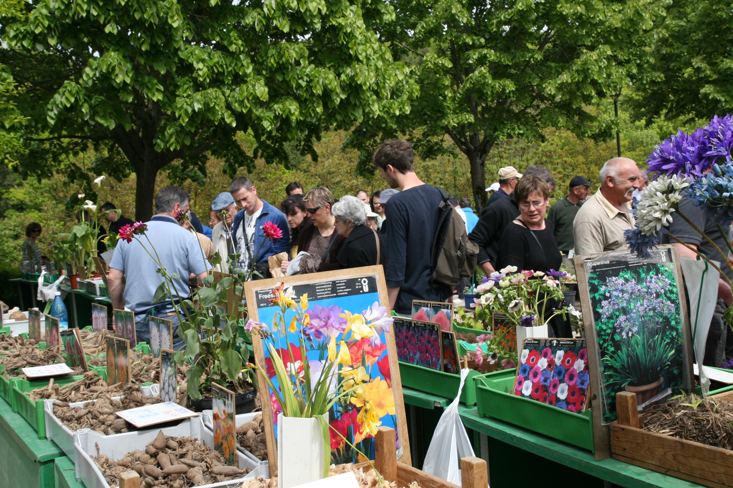 Fête des fleurs