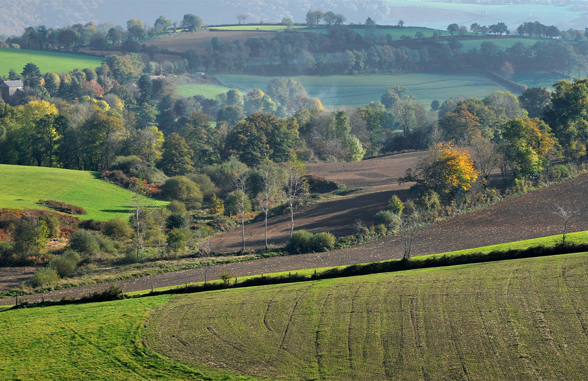 Agriculture