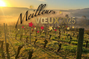 Voeux 2025