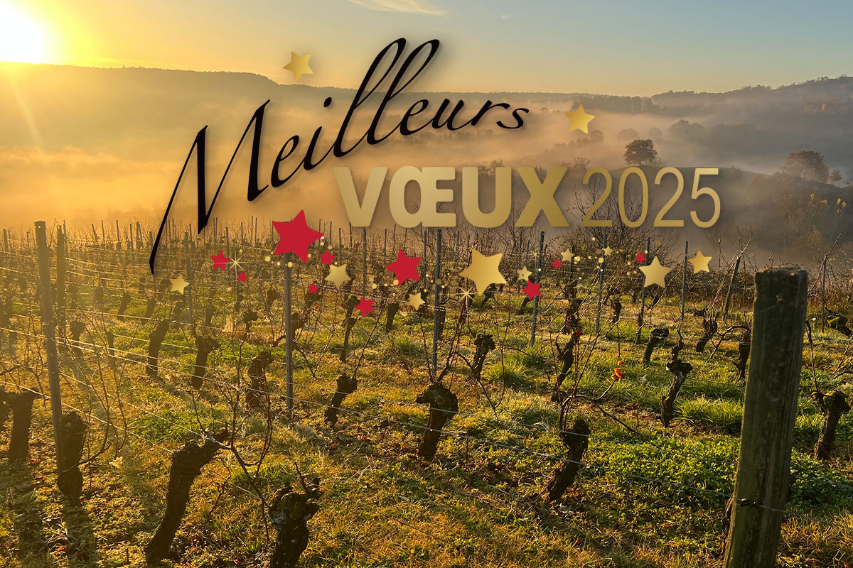 Voeux 2025