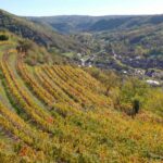 Vignoble de Marcillac