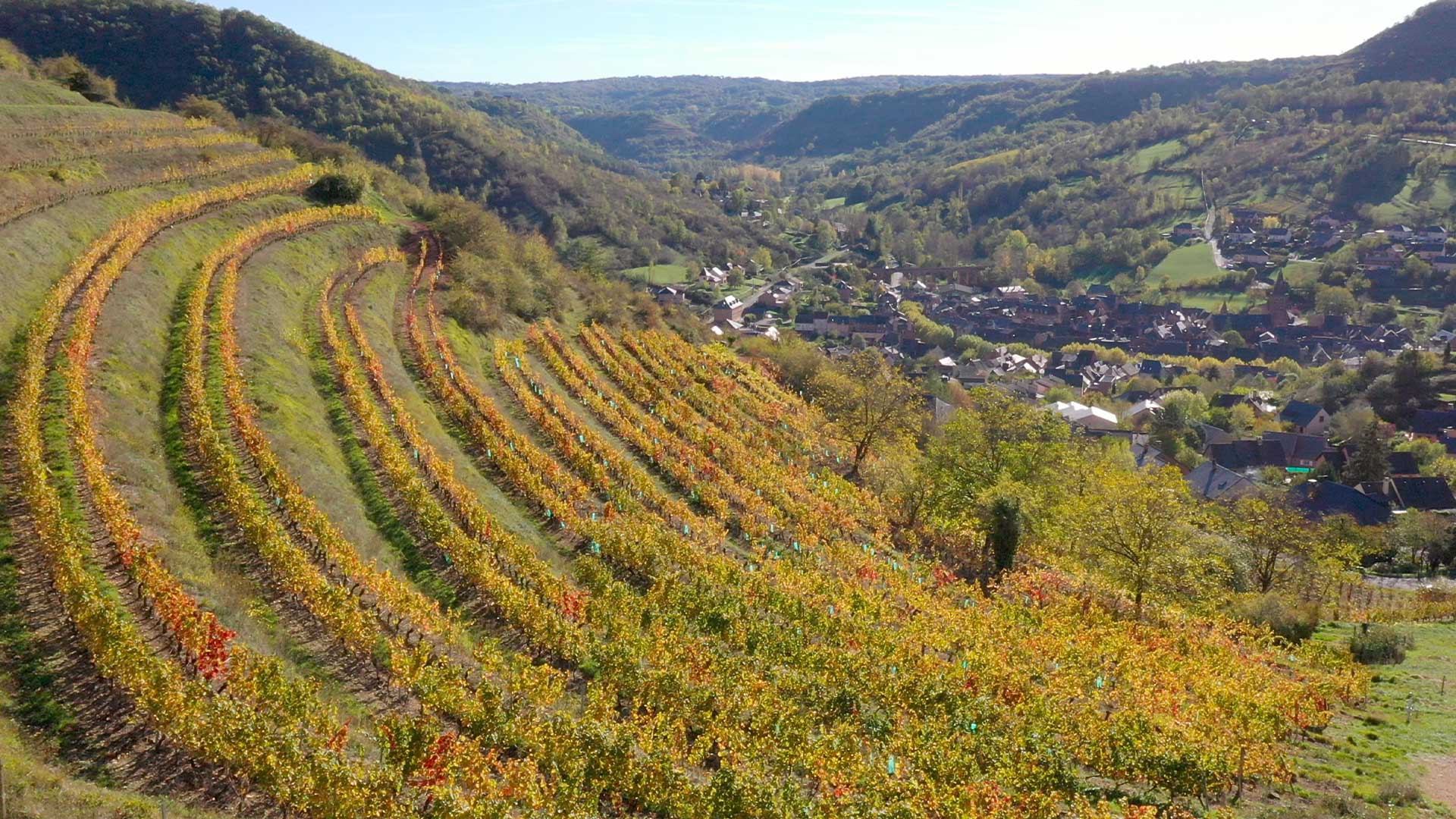 Vignoble de Marcillac