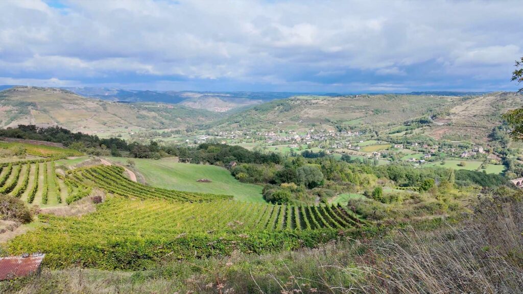 Vignes de Valady