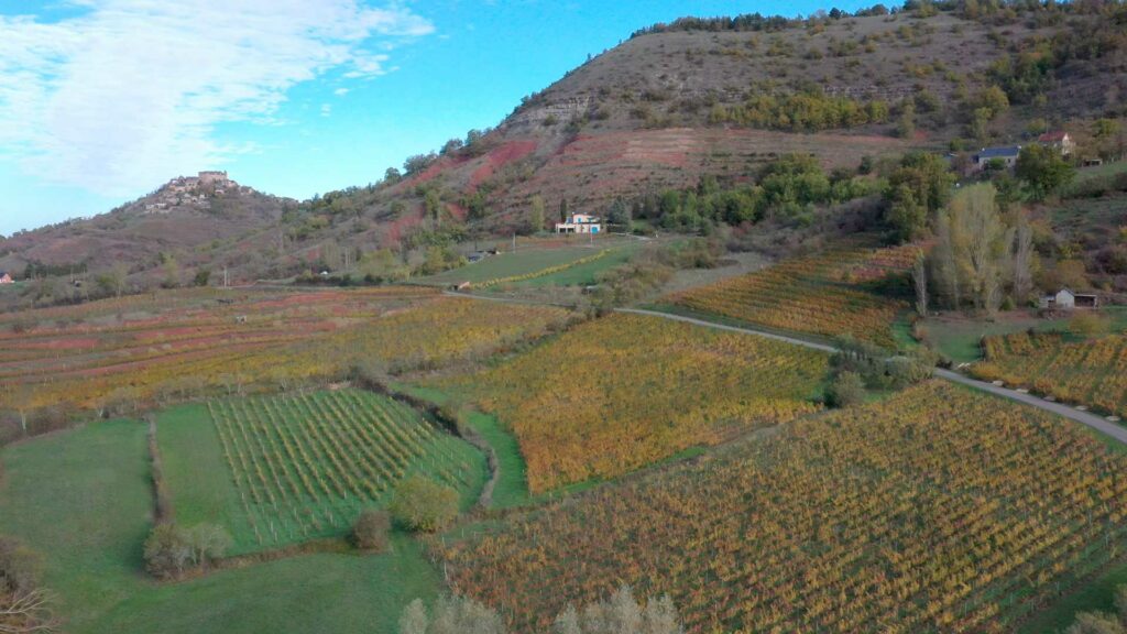 Vigne sur Bruéjouls